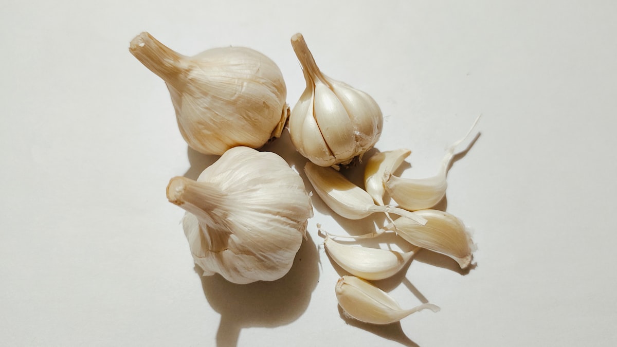 Aglio fresco da campi italiani