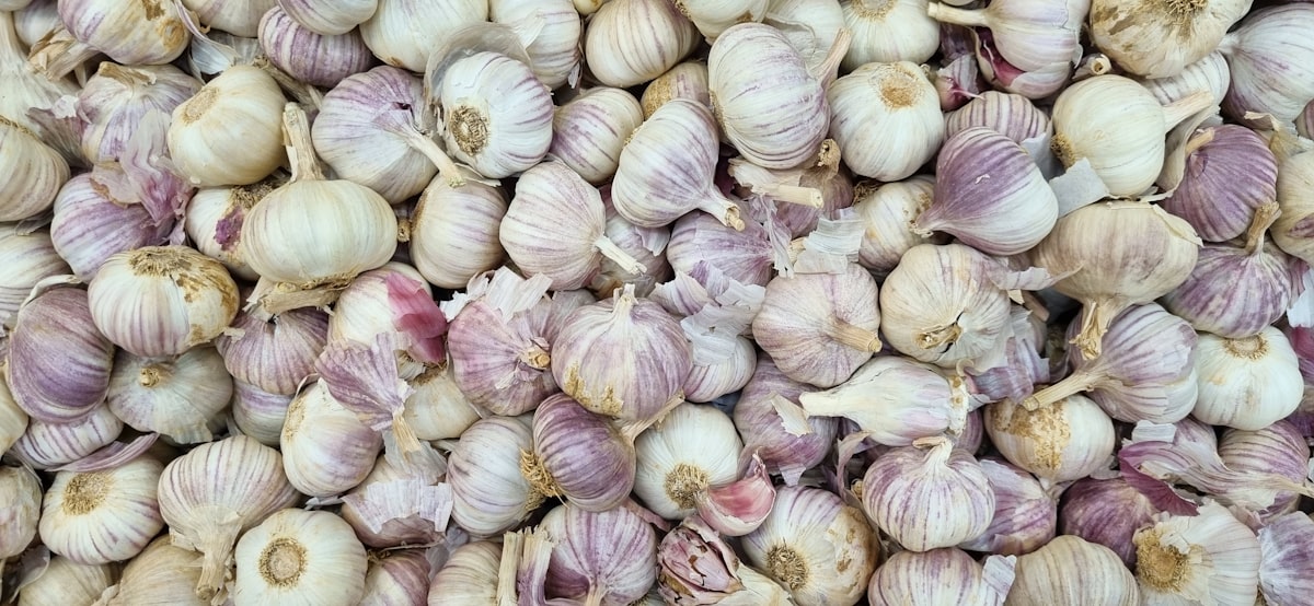Aglio Rosso di Volterra